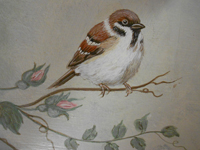 pittura
